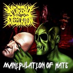 Buy Manipulation Of Hate
