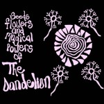 Buy Seeds Flowers And Magical Powers Of The Dandelion