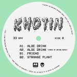 Buy Aloe Drink