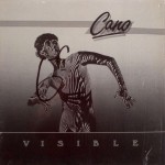 Buy Visible (Vinyl)