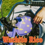 Buy Wachito Rico