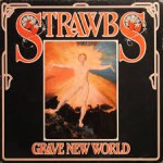 Buy Grave New World (Vinyl)