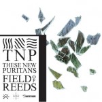 Buy Field Of Reeds