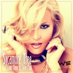 Buy Sycamore Tree (CDS)