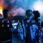Buy Papillon (CDS)