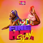 Buy Fine Ho, Stay