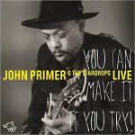 Purchase John Primer & The Teardrops You Can Make It If You Try