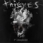 Buy Thieves (CDS)