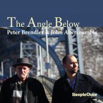 Buy The Angle Below (With Peter Brendler)