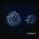 Buy Cranes