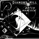 Buy Diamond Hill (Vinyl)