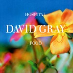 Buy Hospital Food (CDS) CD2