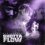 Buy Shotta Flow 5 (CDS)