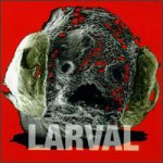Buy Larval