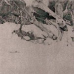 Buy The Coachlight Woods