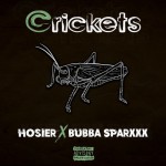 Buy Crickets (EP)