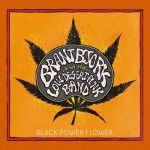 Buy Black Power Flower