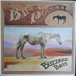 Buy Buzzard Bait (Vinyl)