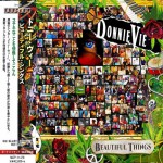Buy Beautiful Things (Japan Edition)