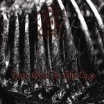 Buy Dead Soul In The Cage