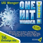 Buy One Hit Wonder Vol.11 CD2