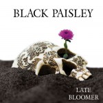 Buy Late Bloomer