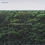 Buy You're Not Alone (CDS)