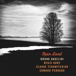 Buy Open Land