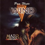Buy Pan Flute WIND