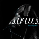 Buy Sirius