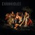 Purchase Chronicles Of The Great Irish Famine Mp3