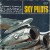 Purchase Sky Pilots Mp3