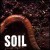 Buy Soil