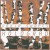 Purchase Holograd (Limited Edition) Mp3
