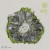 Purchase Echogarden Compilation Vol. 2 Mp3