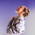 Purchase Perfect Revenge (CDS) Mp3