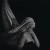 Purchase Lavender Mp3