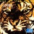 Purchase Eye Of The Tiger Mp3