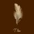 Purchase Shadow (CDS) Mp3