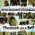 Purchase Thousands On A Raft Mp3