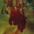 Purchase When Shapes Of Spilt Blood Spelt Love Mp3