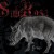 Purchase Strega Mp3