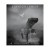 Buy A Thousand Years