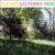 Buy Cat Power 