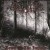 Buy Dawn Of The Impaler
