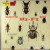 Purchase Music For Hi-Fi Bugs & Brass In Hi-Fi Mp3