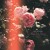 Purchase Friends & Lovers Mp3
