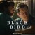 Purchase Black Bird Mp3