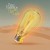 Buy Carry The Light