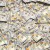 Buy Tric Or Treat (CDS)